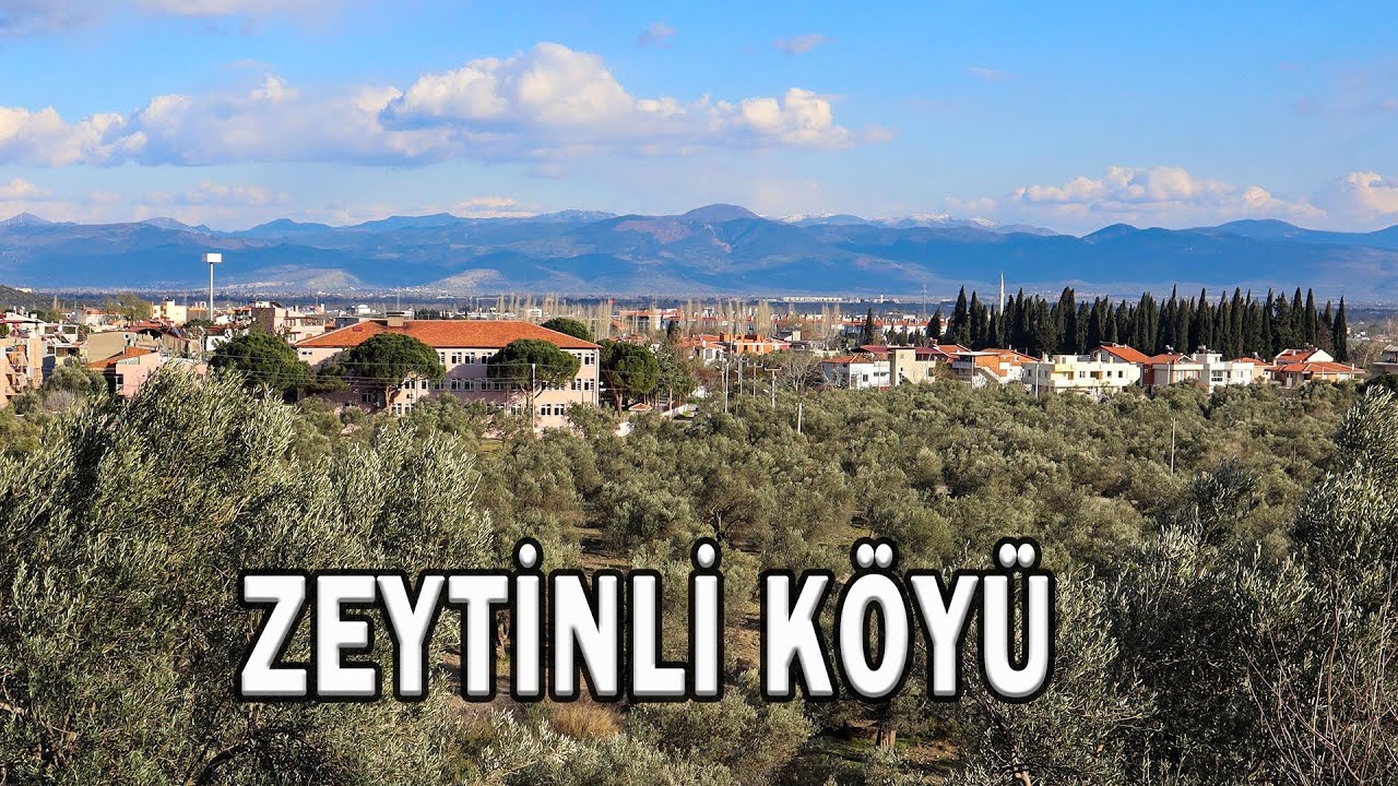 Zeytinli