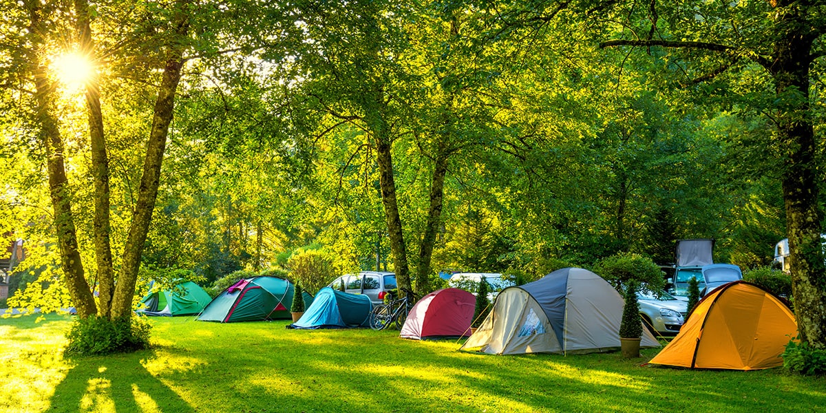 Assos Kamp Alanları