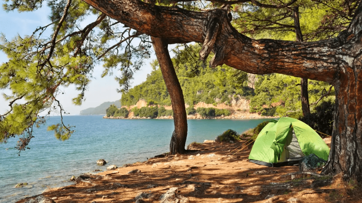 Balıkesir Kamping Alanı ( Yeri )