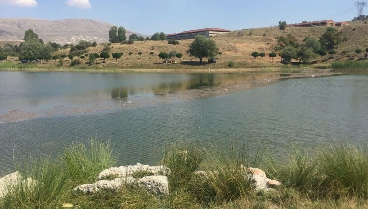 Ankara Ücretsiz Kamp Alanları - Kirazdibi Göleti Kamp Alanı