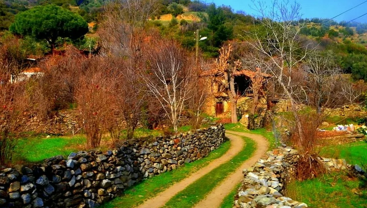 Aydın Ücretsiz Kamp Alanları - Çağlayan Tabiat Parkı Kamp Alanı