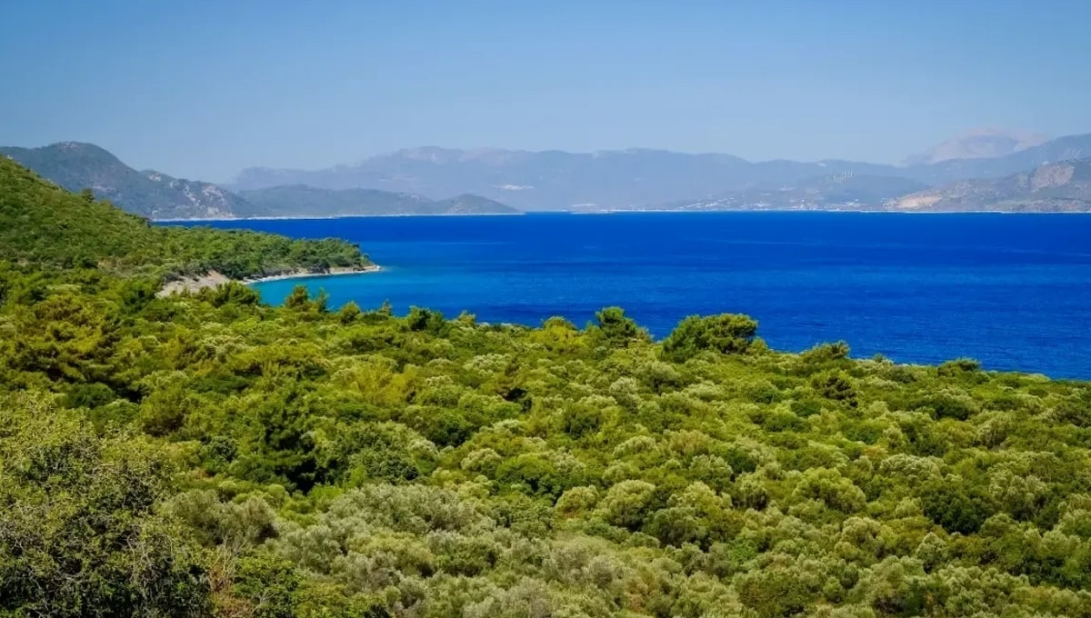 Aydın Ücretsiz Kamp Alanları - Sevgi Plajı Kamp Alanı