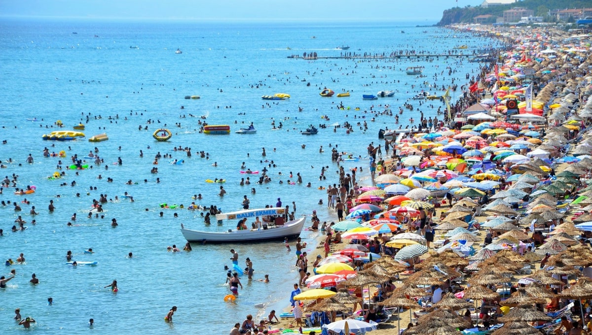 Ayvalık Ücretsiz Kamp Alanları - Sarımsaklı Kamp Alanı