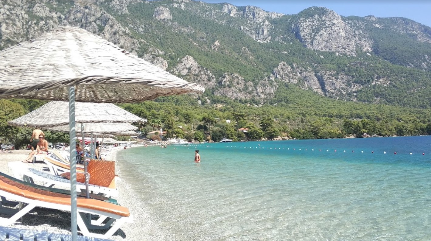 Didim Ücretsiz Kamp Alanları - Akbük Koyu Kamp Alanı