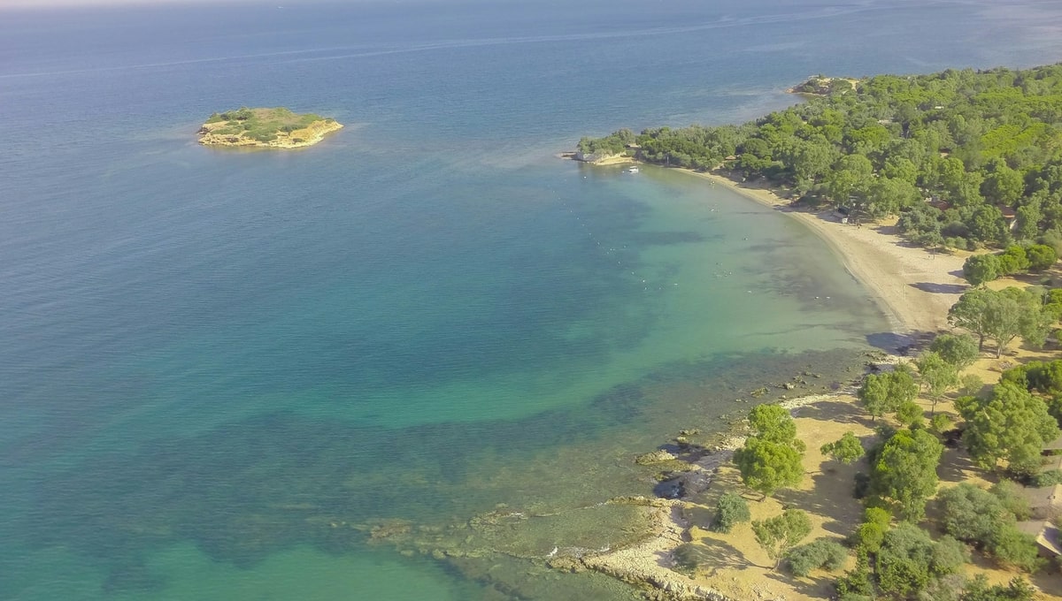Didim Ücretsiz Kamp Alanları - Orman Kampı