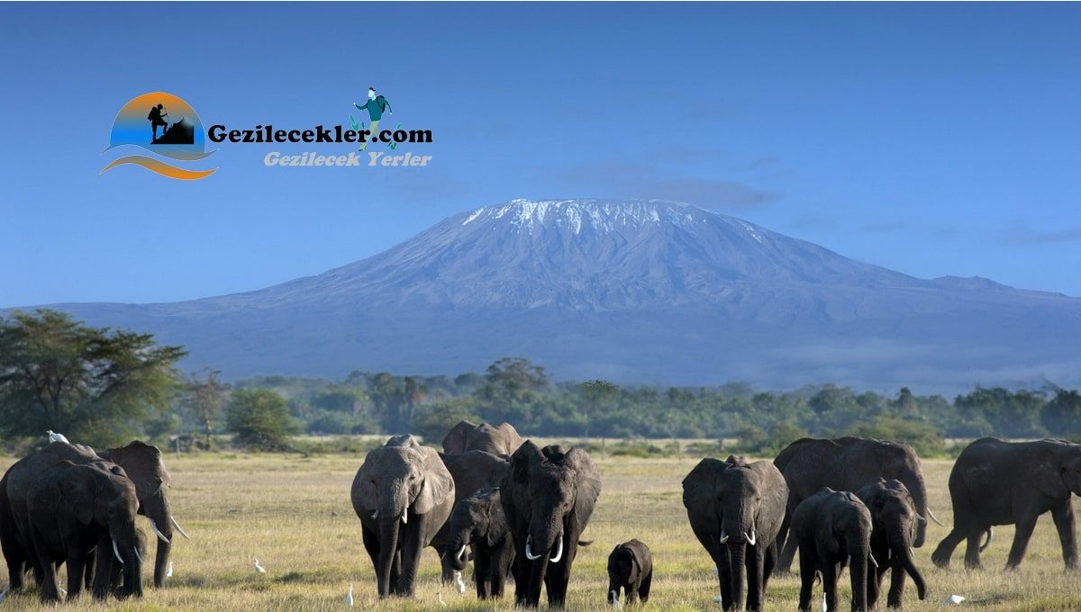 Afrika'da Mutlaka Görülmesi Gereken Yerler Kilimanjaro
